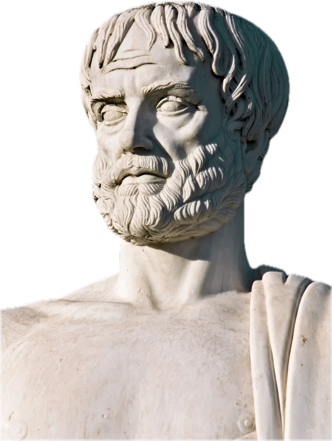Marble bust of Aristotle